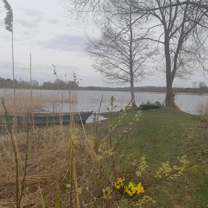 Deniss Mūrnieks  1.b